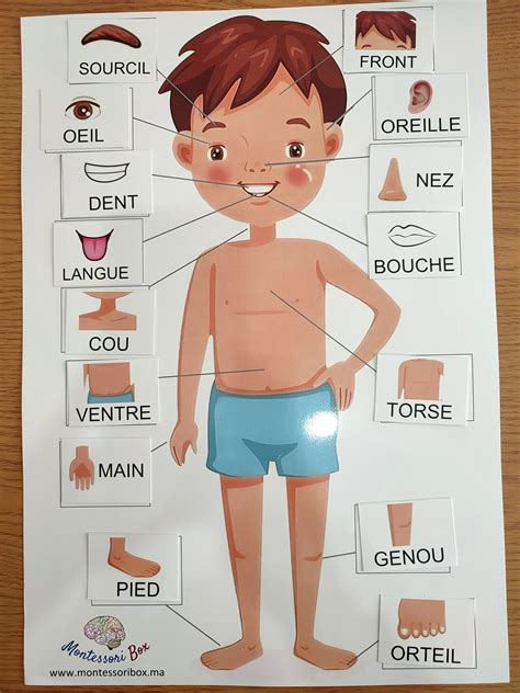 montessoriboxma la liste de nos produits