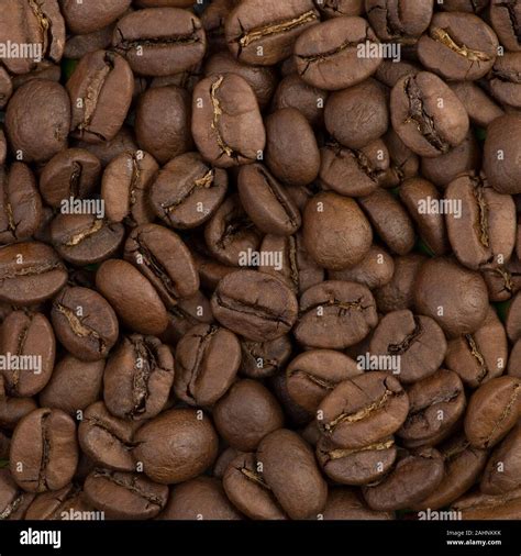 Coffee beans Brazil Santos Stock Photo - Alamy