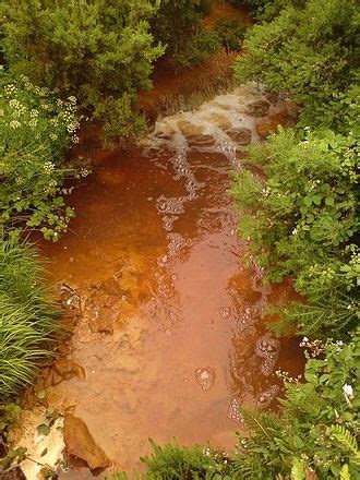 Замърсяване на водите – Уикипедия