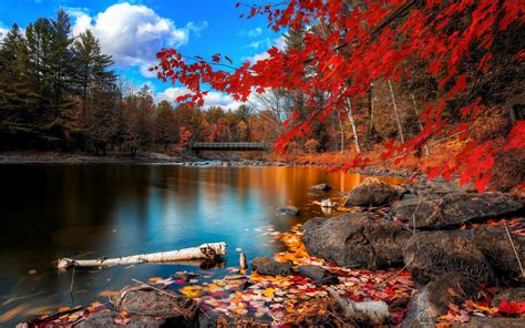 Naturaleza Otoño 4k Ultra HD Fondo De Pantalla