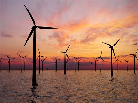 Offshore Wind Turbine Farm