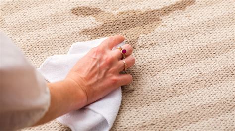 Mastering the Art of Rug Stain Removal: Tips and Tricks – Lobarroz Home ...