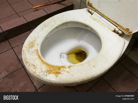 dirty smelly toilet image photo  trial bigstock