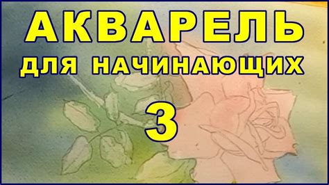Акварель Для Начинающих - 3 - YouTube