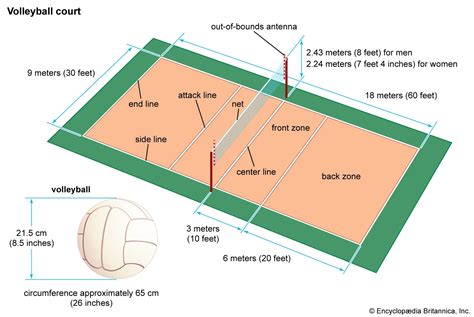 le regole della pallavolo spiegate guida passo passo