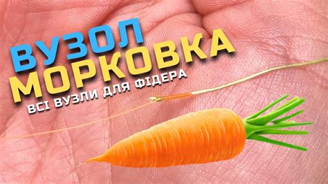 ⚠️Всі вузли які потрібні для фідера‼️ - YouTube