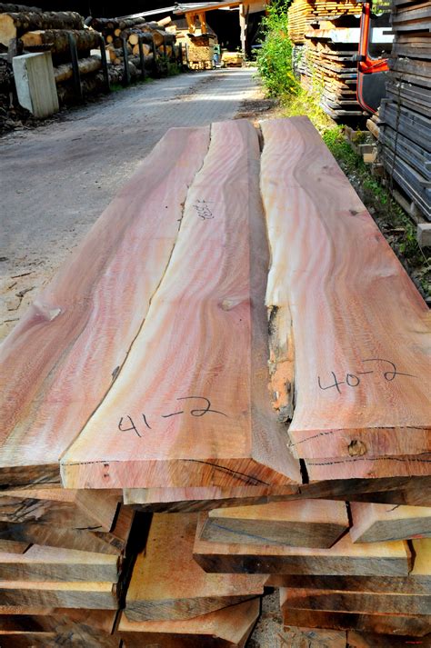 London Plane Tree – Lacewood | Talarico Hardwoods