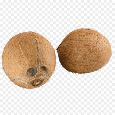 Nariyal Transparent HD Resolution PNG - Pngsource
