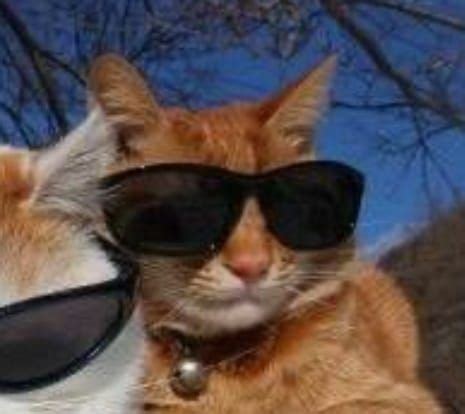 Пин на доске matching pfp for trio