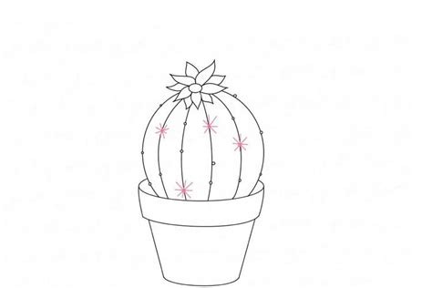 Cactus drawing: Simple, Easy, Realistic and with Flower