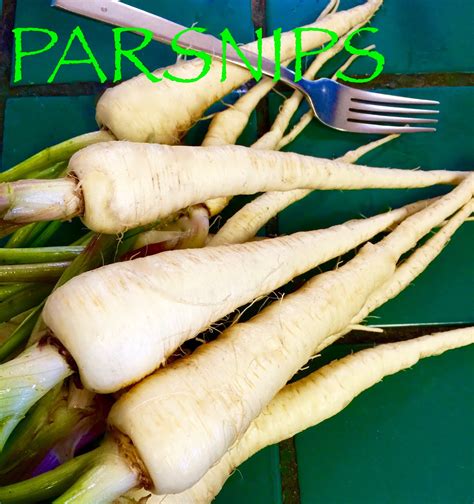 SITKAVORES: PARSNIPS