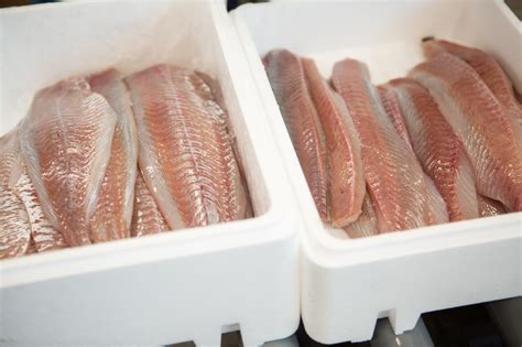 fish seafood bewi packaging