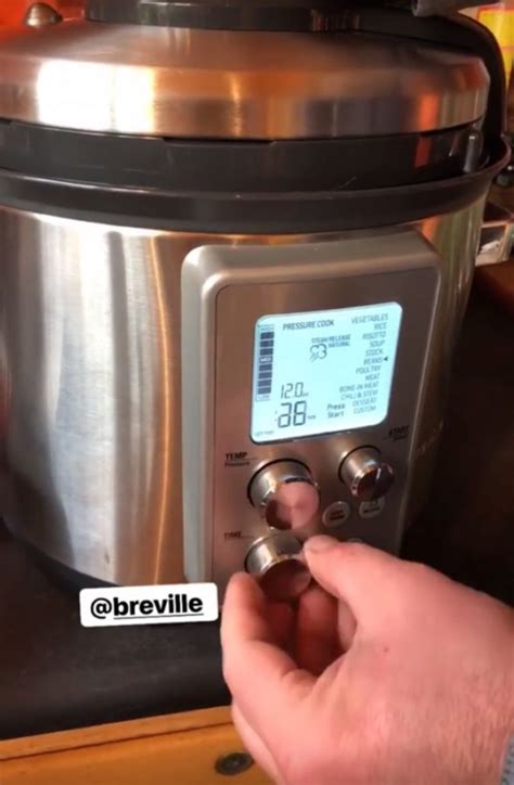 Homemade Chicken Stock in a Pressure Cooker • Hip Foodie Mom