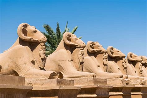 Wat te doen in Luxor in Egypte? Tips + bezienswaardigheden