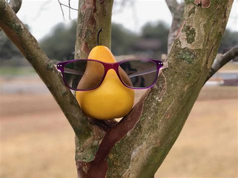 Why You Need A Spare Pair Of Glasses | Backup Eyewear Guide