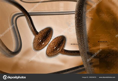 Digital Illustration Synapse Color Background Stock Photo by ...