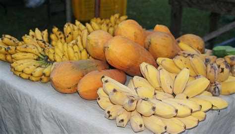 gedang  gandul keunikan bahasa jawa  sunda kabar temanggung