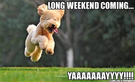 Weekend Memes - Funny Weekend Pictures and Images