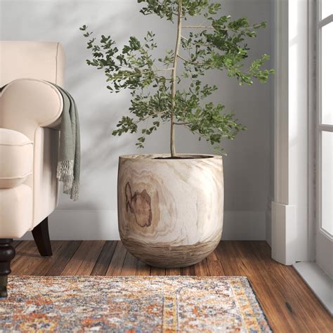 plants  put  tall plant pots  maria stephenson blog