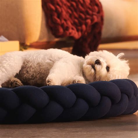 Why Do Dogs Go Between Your Legs at Paige Cremean blog