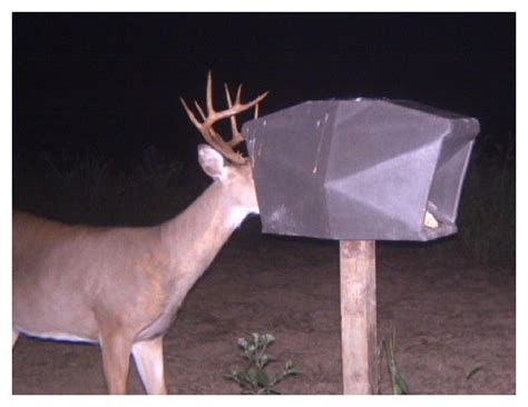 Extreme Deer Feeder | Sneeky Fox Outdoors