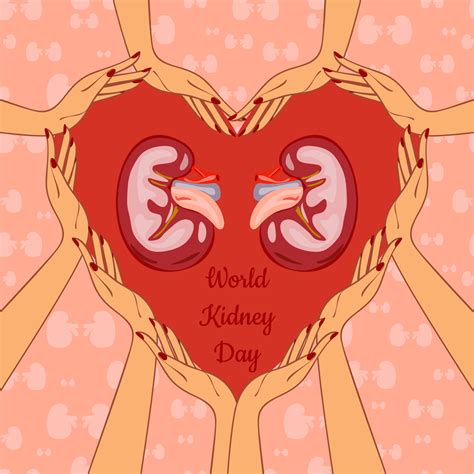 World Kidney Day Poster Or Banner. Kidney care and cancer awareness