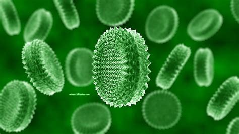 Alien Blood Cells by fine-ass-tramps on DeviantArt