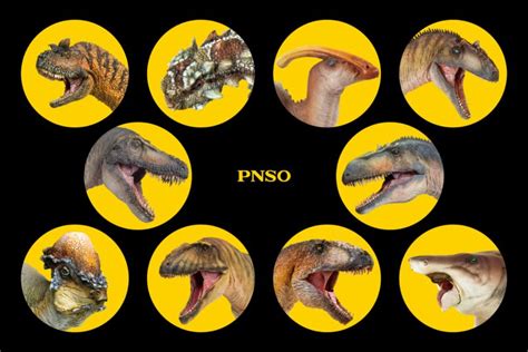 PNSO