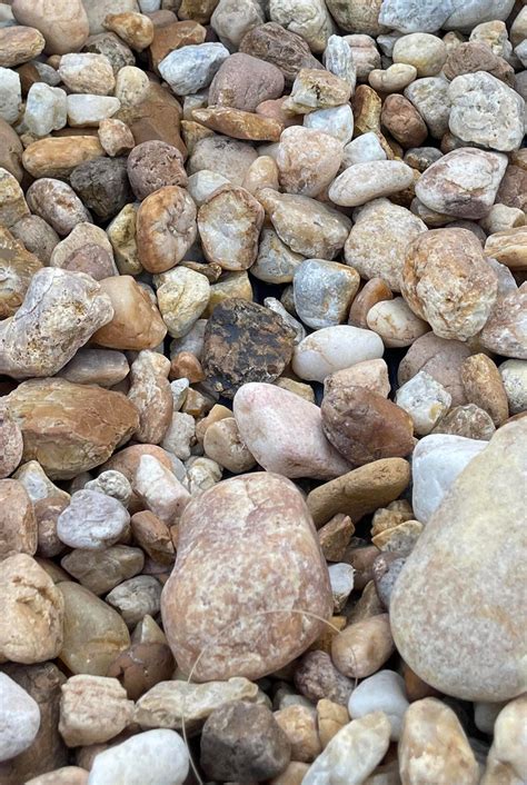 large brown river rock shoptropicals