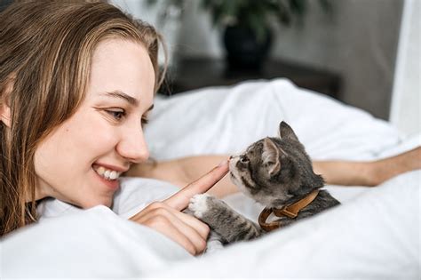 kitten suckling vet reviewed behavior facts faq catster