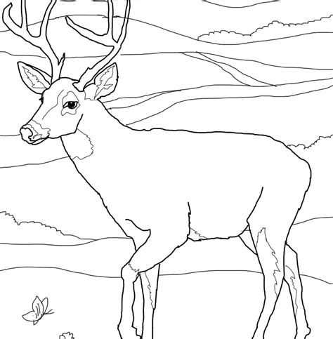 Wild Hog Coloring Pages at GetColorings.com | Free printable colorings ...