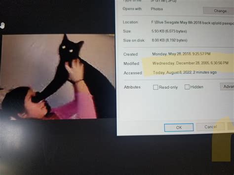 ~18 year old void. found a pic of him on my old hardrive from 2005