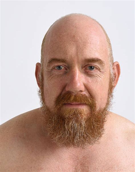 bald headed people pic stock  pictures royalty  images