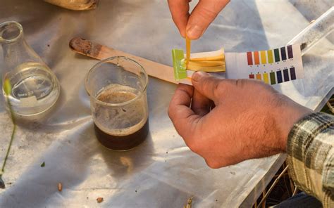 Soil Types: Understanding pH & Testing Soils