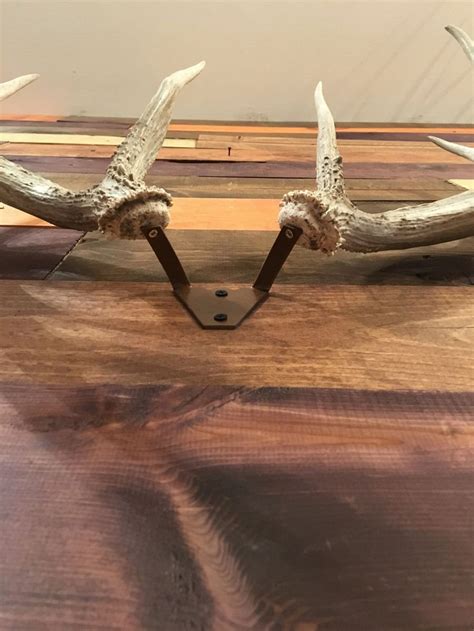 Shed Antler Mount Hanger - Etsy