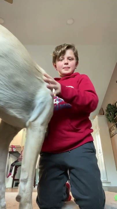 april   youtube