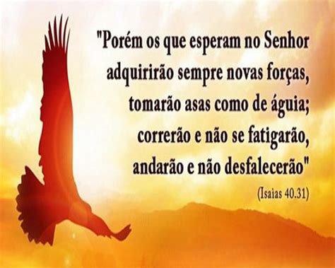 Versiculo Os Que Esperam No Senhor - Bíblia Sagrada em Imagens: Isaías 40.31 - os que esperam no Senhor ...