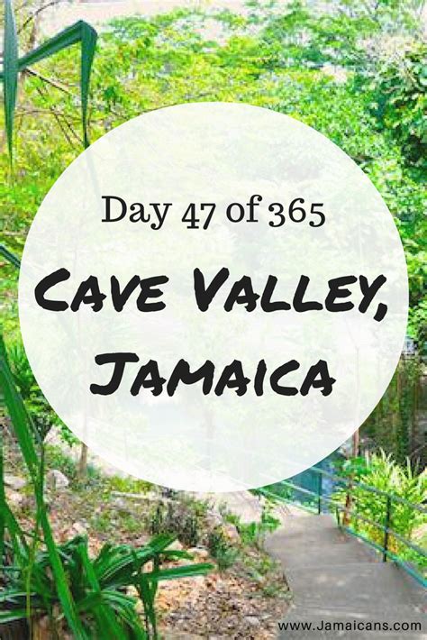 Day 47 of 365 Things to Do, See & Eat in Jamaica - Go Underground at Cave Valley - Jamaicans.com