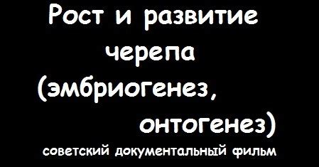 Рост мозгового черепа. Точки окостенения черепа