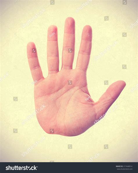 hand palm stock photo  shutterstock