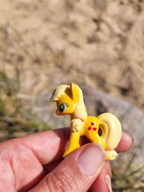 business lessons     pony beach rescue jenny gill