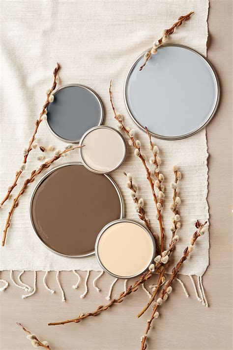 find paint color from photo 7