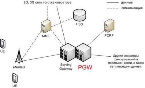 pdn gw public data network gateway pgw