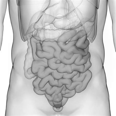 Tumor tankog creva, simptomi i lečenje - Dr Miloš Bjelović