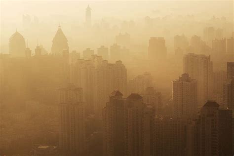 cutting   smog  air pollution  scientist