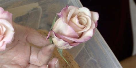 She Shows Us How To Preserve Those Beautiful Flowers You Receive On Special Occasions!