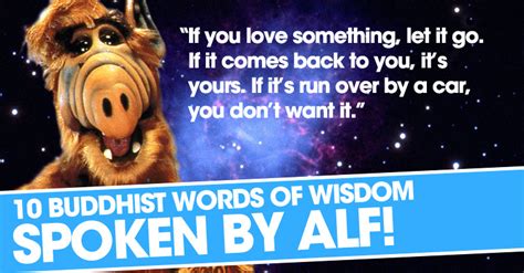 Funny Alf Quotes. QuotesGram