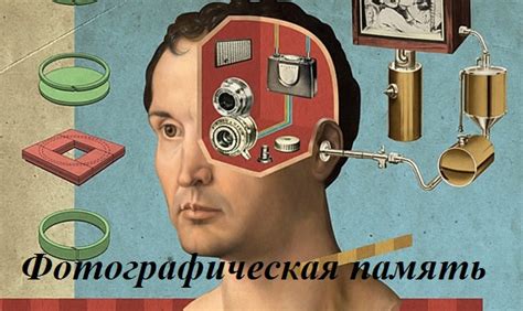Образная память. Способы развития, примеры и условия.
