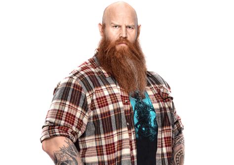 Erick Rowan: Profile, Career Stats, Face/Heel Turns, Titles Won ...