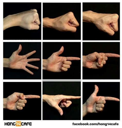 Hand reference (8) | Hand drawing reference, Hand reference, Figure ...